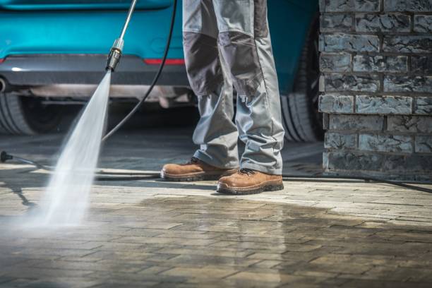 Best Fleet Vehicle Washing  in Senoia, GA