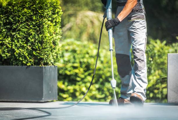 Best Sidewalk and Walkway Cleaning  in Senoia, GA